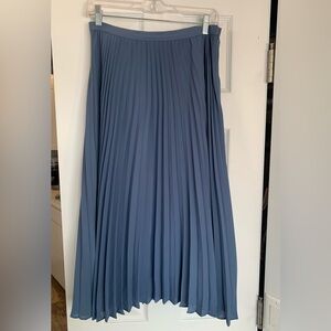Banana Republic Classic Blue Pleated Skirt